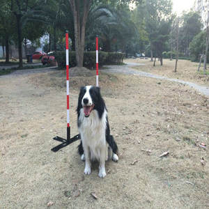 Equipo de Entrenamiento de Agilidad para Perros de 2x2 Postes, Postes de Plástico de 6 Postes para Juegos de Patas, Competiciones, Slalom - Product Image 5