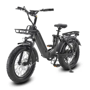 2024 New Folding Electric Bicycle Adults Electric Fat Tire Bike 20 Inch 750w Mountain Dirt Hybrid Road Electric City Bike