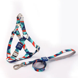 Benutzer definiertes Logo Luxus Hunde geschirr Set Pet Walk Kit Wasserdichtes Polyester Solid Pattern Verstellbares Halsband mit weicher Leine - Product Image 3