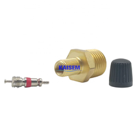 Valve de remplissage de réservoir d'air en laiton NPT 1/4 pouce, valve Schrader NPT 1/4 pouce pour réservoir sous pression avec capuchon en plastique à noyau intégré