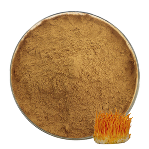 Estratto di <span class=keywords><strong>Cordyceps</strong></span> Militaris 1% Cordicepina, Polvere di Estratto di Corpo Fruttifero di Fungo Organico, Confezionato Sottovuoto, HPLC - Product Image 3