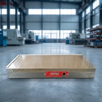 Mandrin électromagnétique rectangulaire industriel certifié CE, 110 V CC, haute force de maintien pour rectifieuse de surface