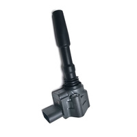 Ignition Coil for Audi RS6 RS7 S6 and S7 Engines OEM 079905110N