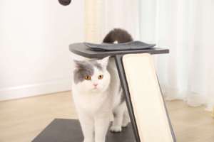 Pilihan paling rakyat tahan lama Modern mewah ruang pribadi kustom pohon kucing dan penggaruk - Product Image 2