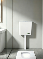 Réservoir de toilettes mural à double chasse, économie d'eau, en plastique, fonctionnement silencieux, durable, pour hôtel et salle de bain commerciale