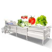 Bulle automatique transport pomme baie dates ail poire fruits légumes nettoyage lavage machine