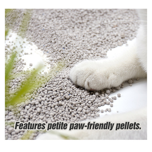 Arena para Gatos de Bentonita de Aglomeración Fuerte de 1-8 mm, Personalizada al por Mayor, en Forma de Bola, Ecológica, Biodegradable, Desechable por el Inodoro y Libre de Polvo - Product Image 4