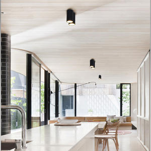 सिलेंडर downlight बाहरी निविड़ अंधकार प्रकाश स्थिरता आउटडोर downlight IP65 इनडोर बाहरी छत नीचे प्रकाश फिटिंग - Product Image 4