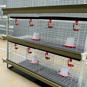 Yeni durum otomatik kanatlı Coop besleyici pil kafesleri Broiler tavuk evi çiftlik yetiştiriciliği katmanlı tavuk Broilers kafes - Product Image 1