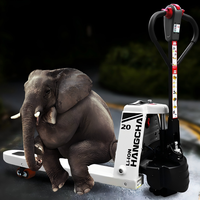 Batterie lithium 48V pour chariot élévateur CBD20-WS-D, chariot élévateur électrique robuste, transpalette électrique pour le transport de matériaux