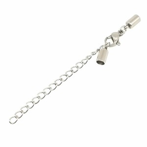 Anno Jewelry Stainless Steel Lobster Buckle With Teardrop Chain And Snake Head For DIY Jewelry Making Accessories - Product Image 4