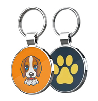 Kunden spezifischer LOGO/QR-CODE/Größe Edelstahl kante NTAG213 Auto Hund Anti-Lost NFC Pet ID Tag
