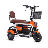 Tricycle électrique Paige pour adultes, véhicule pour animaux de compagnie, vélo pour enfants, tricycle motorisé 800W Roadster 3 roues, moto cargo T-rex