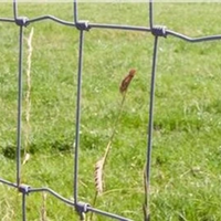 Clôture économique pour élevages de bétail, clôture pour cerfs, clôture en grillage pour porcs, filet de clôture pour terrains de football, clôture de champ à charnières pour l'agriculture