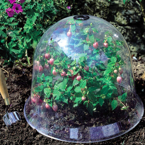 Cloche de semis VERTAK, couvercle de <span class=keywords><strong>pot</strong></span> pour plantes - Product Image 3