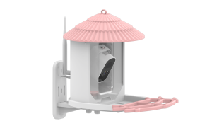 Ikevision กล้อง4MP สำหรับบ้านนก, แบตเตอรี่6เดือนไร้สาย4G วิสัยทัศน์กลางคืนปลุก PIR กันน้ำ NVR พลังงานแสงอาทิตย์สำหรับนก - Product Image 6