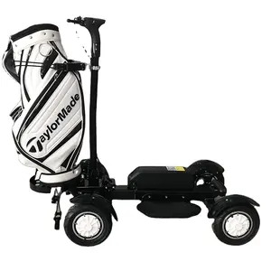 Smontato rapidamente cinese Scooter elettrico Golf Bag titolare 48V carrello elettrico per le vendite