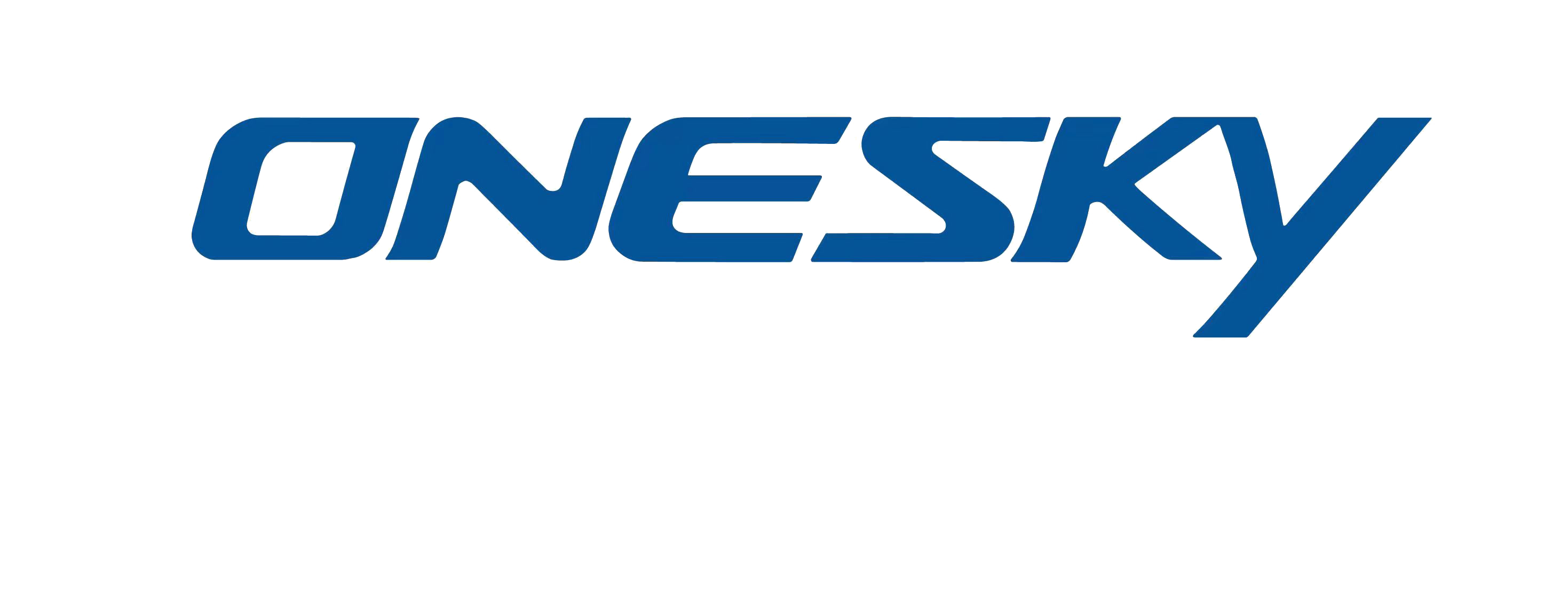 Anhui Onesky Electric Tech. Co., Ltd.
