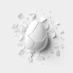 Wholesale Supplier <b>Indigo</b> Organics Organic 2mm Natural Calcium Rich Dried Egg Shell <b>Powder</b> Granules for Animal Feed Fertilizer - Product Image 4