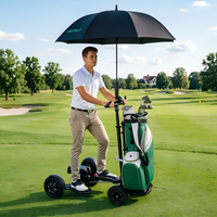 Scooter de golf avec batterie amovible, scooter électrique pour parcours de golf, prix d'usine, fournisseur OEM ODM