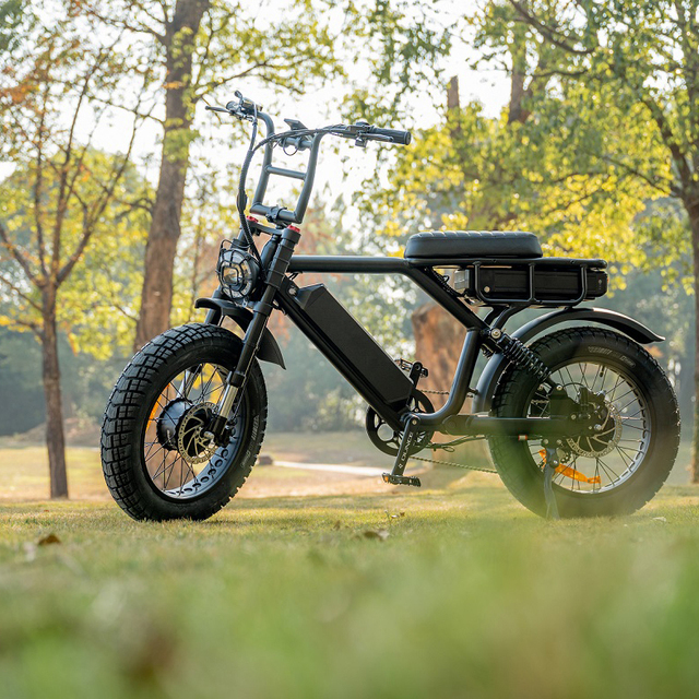 Dual Electric Bicycle with Full Suspension High Speed 1000w-2000w Rear Hub Motor Lithium Battery Power Supply