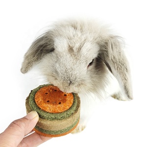 Pet <strong>Rabbit</strong> Birthday Cake Chinchilla Guinea Pig Molar Snack Hamster Nutrition High Fiber Food <strong>Rabbit</strong> Chew Toy Supplies - Product Image 6