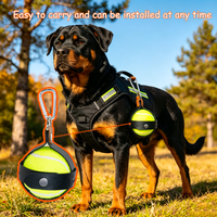 Porte-ballons de tennis pour dressage canin en extérieur, en cuir PU, avec sangle de transport et mousqueton à dégagement rapide pour promenades avec chien