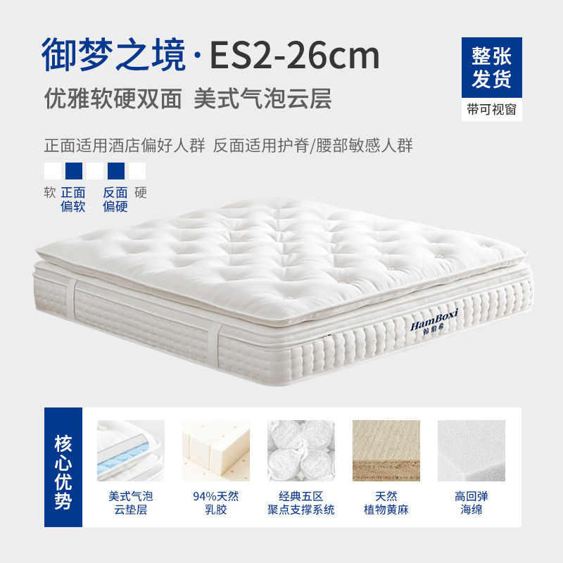 ดรีมแลนด์ ES2: ดีไซน์หรูหรา ผสมผสานความนุ่มนวลและความแข็งแกร่ง