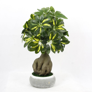 Planta en maceta pequeña Tropical realista, follaje de plástico Artificial variegado, Schefflera <span class=keywords><strong>Arboricola</strong></span> - Product Image 3