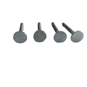 Clous à toiture EG à tête géante de 1 po - Product Image 6