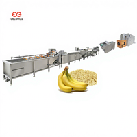 Gelgoog Automatische Fruitplantain-Bananenmeel Verwerkings- en Productielijn met SUS304/316 Materiaal Hoge Efficiëntie