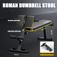 Chaise romaine multifonctionnelle réglable professionnelle bancs de presse de remise en forme banc d'haltère de musculation support de Squat