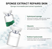 Hot Algae Peeling Biomicroneedling Kit Non-invasive Spongilla Spicules Éponge Peeling Anti-âge Algues Microcristallin Kit B