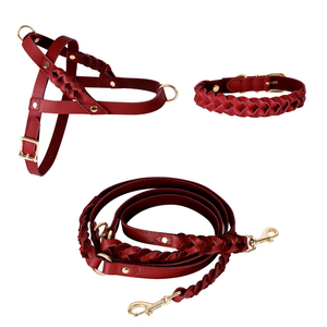 Set di Collare e Guinzaglio in Vera Pelle di Lusso Stile Occidentale Intrecciato a Mano Regolabile per Passeggiare il Cane - Product Image 3