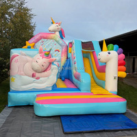 Château gonflable pour enfants Crocodile avec toboggan
