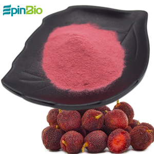 Epinbio <span class=keywords><strong>Myrica</strong></span> <span class=keywords><strong>Rubra</strong></span> Natural de Alta Calidad/Waxberry Powder /Red Bayberry Powder - Product Image 1