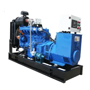 Small Power Electricity Liquid Cooled AC Three Phase 20 kva Turbine Natural Gas Engine Generator Price