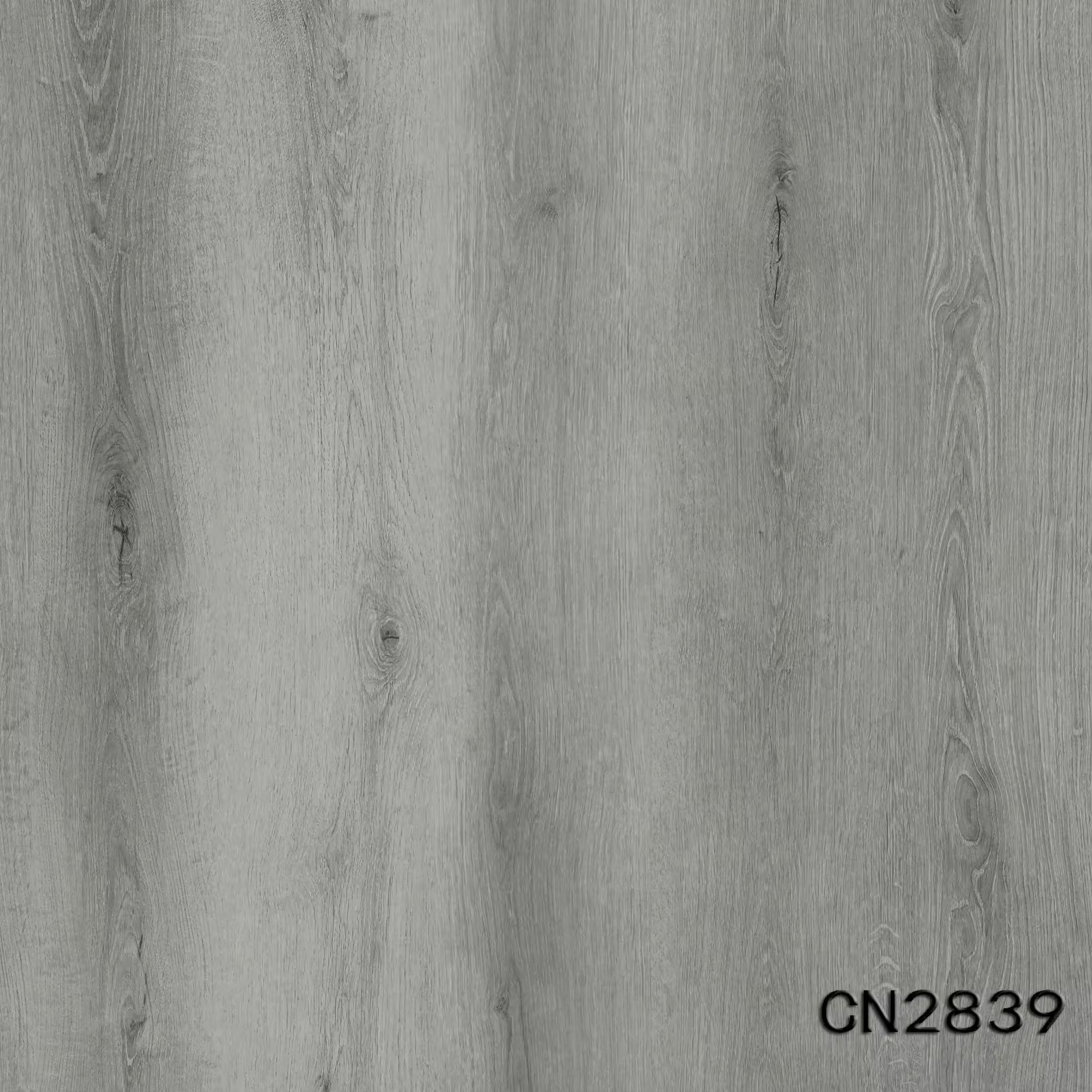 รหัสสินค้า: CN2839