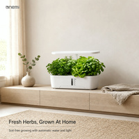 Système de culture hydroponique intelligent sans terre, sans désordre, 3 trous, kit de jardinage d'herbes aromatiques d'intérieur pour la cuisine