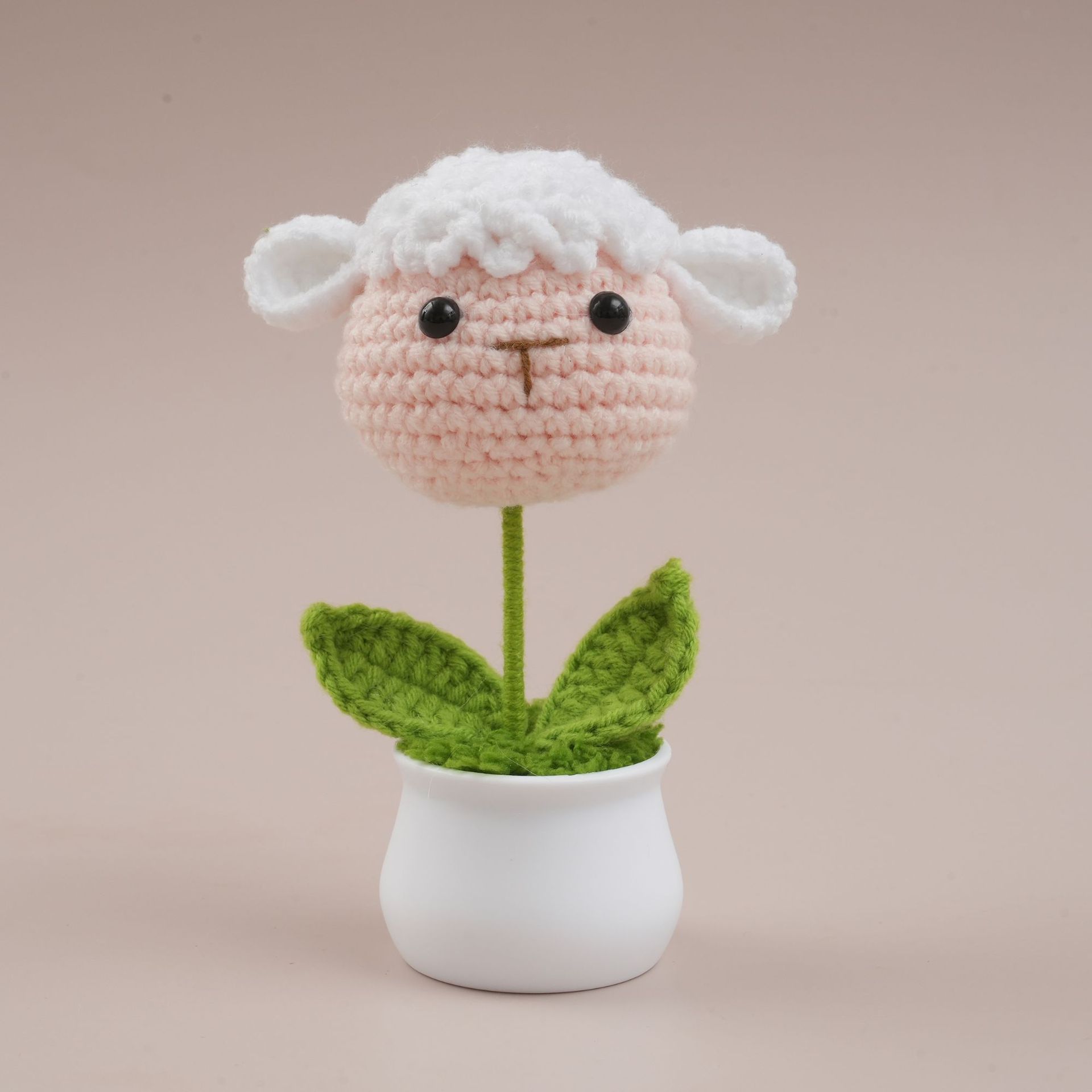 Little lamb potted plant