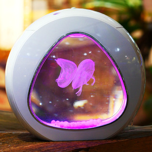 Acquario in Acrilico con Illuminazione LED Sfumata, Piccola Vasca per Pesci Fai-da-Te per Casa e Ufficio - Product Image 2