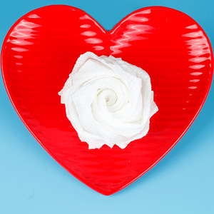 Bán Chạy Nhất Dùng Một Lần Nén Khăn Tắm Khăn Lau Damask Mô Hình Dành Cho Người Lớn Sử Dụng Thêm Lớn Tinh Khiết Bông Nhanh Chóng Làm Khô Xách Tay - Product Image 1