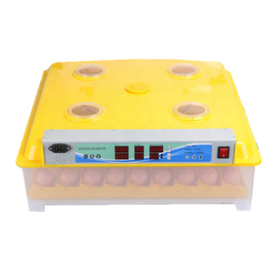 ZH-63 Tự Động <span class=keywords><strong>Mini</strong></span> 63 Trứng Lò Ấp Trứng Xuất Tại Trung Quốc Cho Bán - Product Image 2