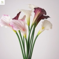 Lys Calla Artificiel Haut de Gamme 55CM en Plastique Souple Blanc Bourgogne, Réaliste au Toucher, Écologique pour Mariage