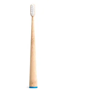 Home Use Adult Stand Cone 100% Biodegradable Bamboo Toothbrush