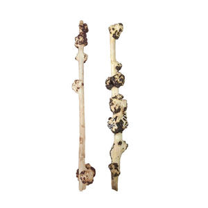 Aquarium Fish Tank Plum Blossom Branch Aménagement paysager Bois flotté Bois mort - Product Image 1