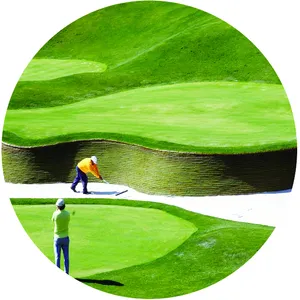 משלוח מדגם דשא מלאכותי דשא ירוק לשים חיצוני שטיח עמיד למים עבור גולף כמובן G13