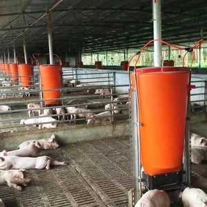 Meilleures ventes Mangeoire pour porcs en <span class=keywords><strong>plastique</strong></span> humide et sec automatique et durable 100kg Mangeoire pour porcelets et porcs de ferme - Product Image 1