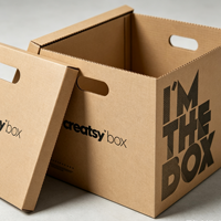 Caja de Cartón Estándar Económica para Almacenamiento de Archivos con Tapas