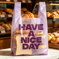 Sac de shopping en plastique semi-transparent violet clair pour cadeaux, imprimé « Have a Nice Day », idéal pour les boîtes cadeaux de fêtes
